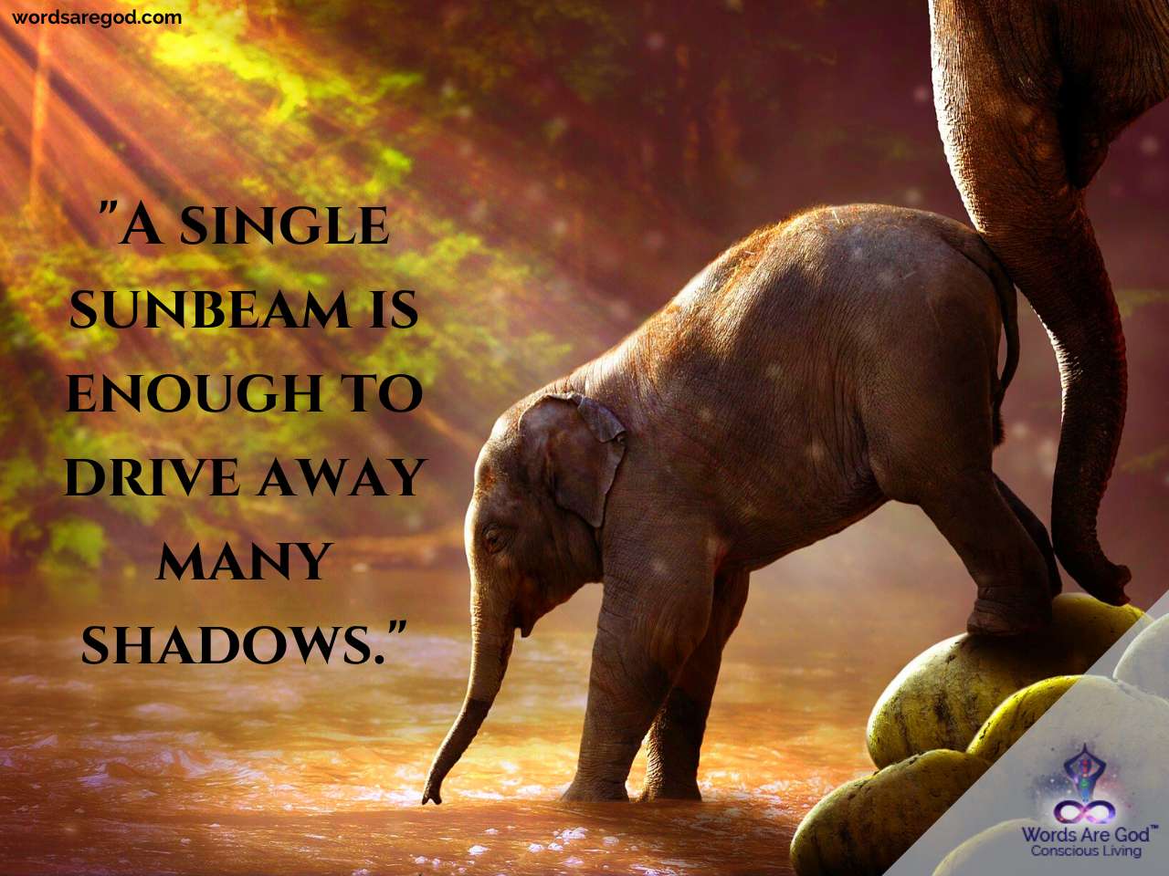 Motivational Quotes by Motivational Quotes