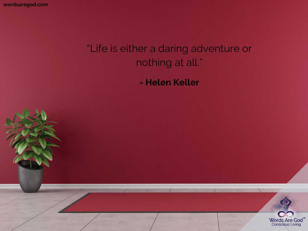 Quotes - Best 1000+ Life Quotes | Words Are God