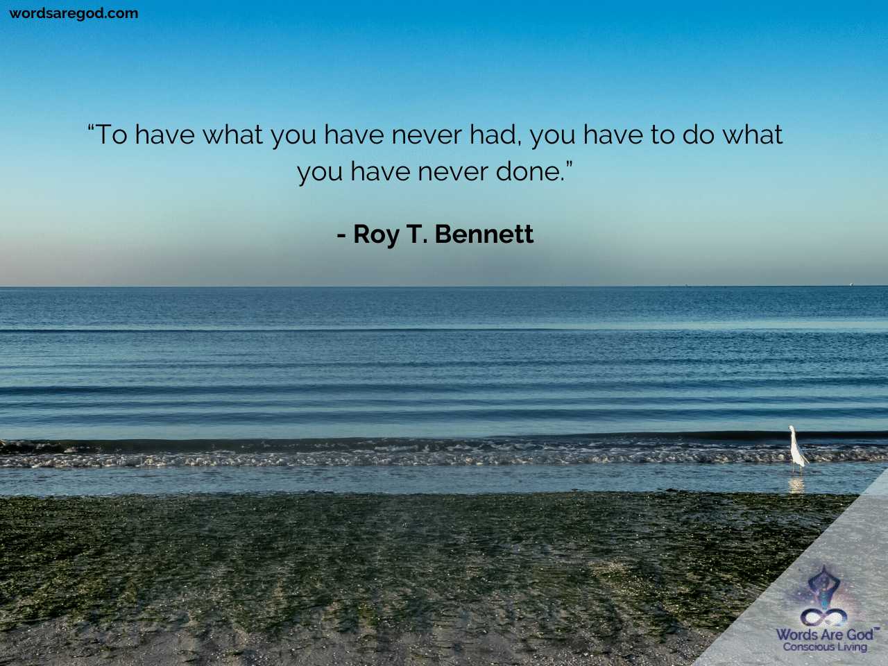 Motivational Quotes by Motivational Quotes